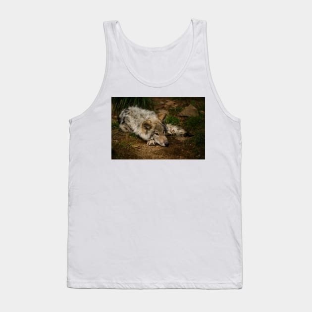Timber Wolf Pup Tank Top by jaydee1400